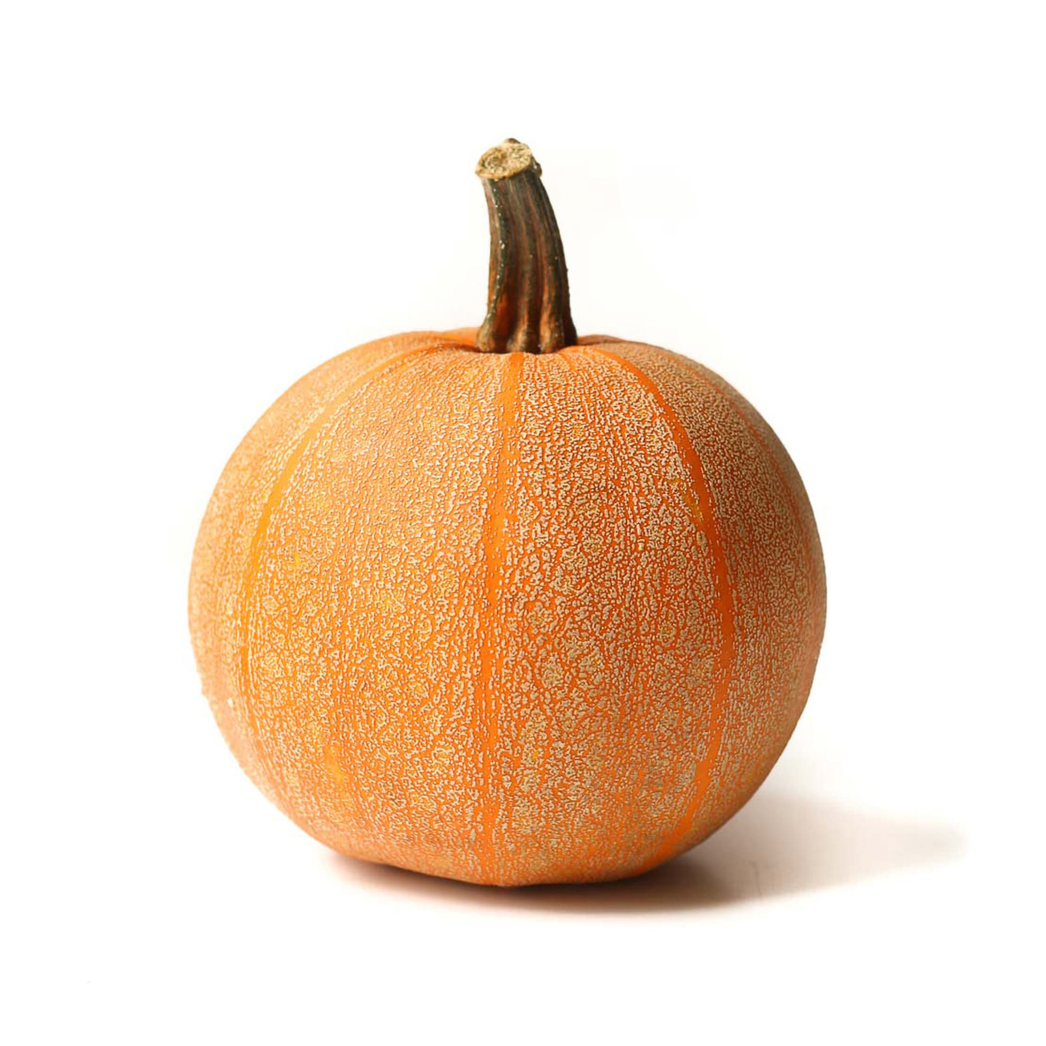 Organic Culinary Pumpkin